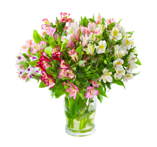 Fabulous Petals
