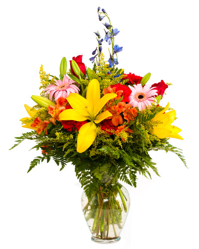 Blooms of Radiance